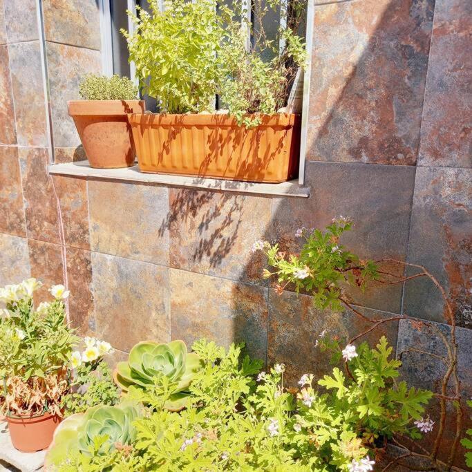 阿罗萨新镇Rias Bajas Apartamento Con Jardin公寓 外观 照片